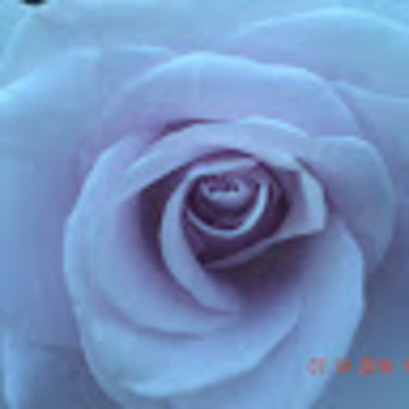 Meet your Posher, N - Picture 1 of 1